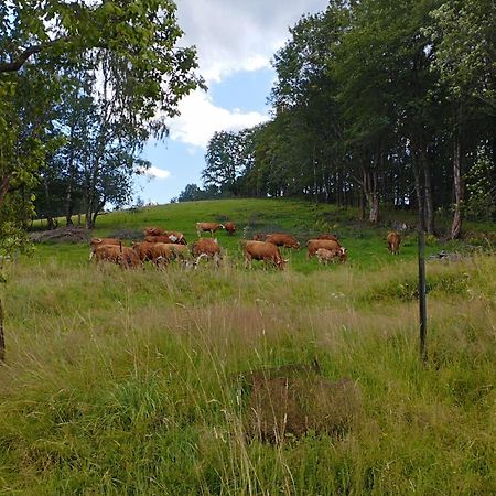 Zimmeruv Statek Mikulášovice Eksteriør billede