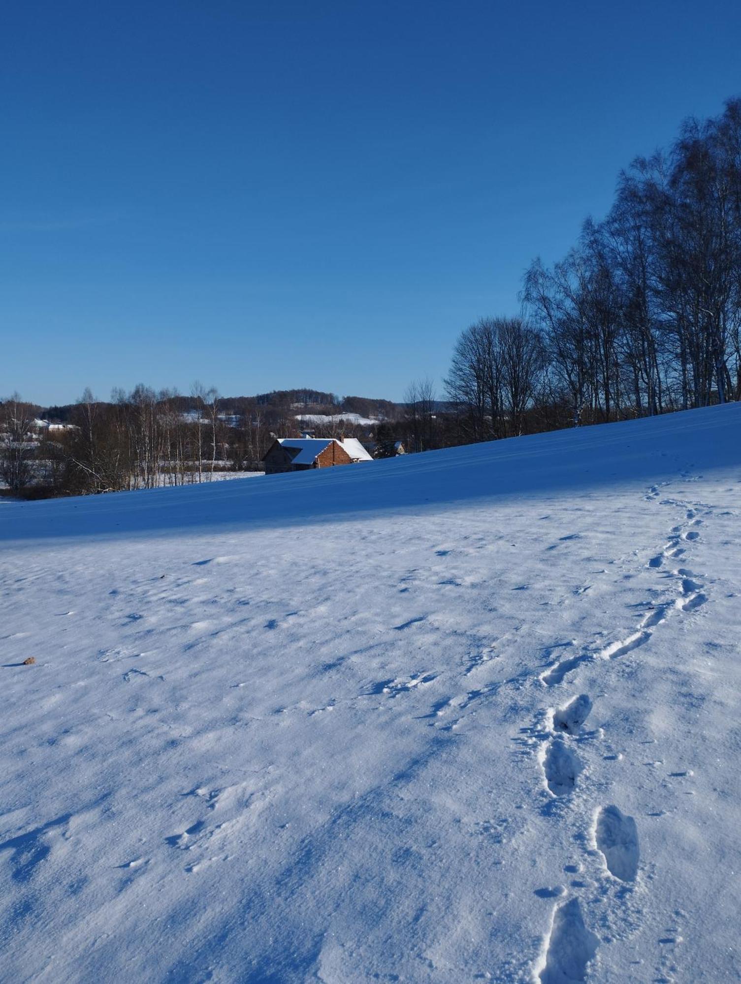 Zimmeruv Statek Mikulášovice Eksteriør billede